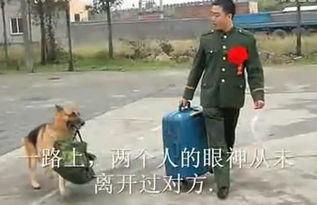 邢佳栋 表情包,笑出腹肌的欢乐源泉
